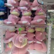 ヒメ日記 2025/11/19 07:32 投稿 ゆき 白いぽっちゃりさん