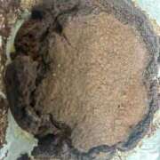 ヒメ日記 2025/11/26 07:12 投稿 ゆき 白いぽっちゃりさん