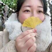 ヒメ日記 2025/12/14 16:04 投稿 ゆき 白いぽっちゃりさん