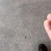 ゆき 向かうよー！ 白いぽっちゃりさん