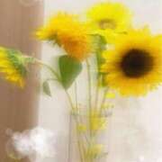 ヒメ日記 2025/07/16 18:15 投稿 ますだ 町田人妻城