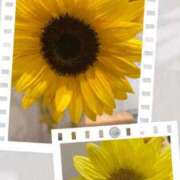 ヒメ日記 2025/07/19 16:41 投稿 ますだ 町田人妻城