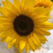 ヒメ日記 2025/07/20 11:23 投稿 ますだ 町田人妻城