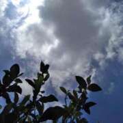 ヒメ日記 2025/07/24 10:00 投稿 ますだ 町田人妻城