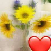 ヒメ日記 2025/07/24 13:50 投稿 ますだ 町田人妻城