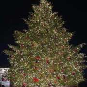 ヒメ日記 2025/12/02 11:53 投稿 ねね ビデオdeはんど 横浜校