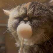 ヒメ日記 2025/09/08 08:14 投稿 のあ 人妻倶楽部 内緒の関係 川越店