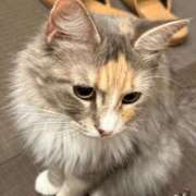 ヒメ日記 2025/08/09 06:00 投稿 杠葉おとは 水戸ソープ アイドル彼女