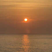 ヒメ日記 2025/11/17 06:11 投稿 星野はづき セカンドパートナー