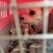 ヒメ日記 2025/11/22 11:02 投稿 星野はづき セカンドパートナー