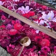 ヒメ日記 2025/06/21 14:02 投稿 西 色葉 MADAM RENA 名古屋