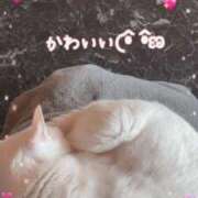 ヒメ日記 2026/02/03 13:20 投稿 へきる 熟女の風俗最終章 町田店