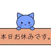 ここな ごめんね💦🥺 ちゃんこ本厚木店