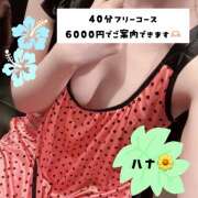 ヒメ日記 2025/08/29 20:46 投稿 ハナ variation(バリエーション)