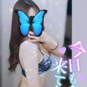 ヒメ日記 2026/02/05 06:48 投稿 みすみ【ゴールドアロー】 Arrows 苫小牧・千歳店