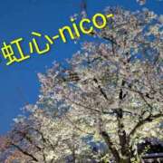 ヒメ日記 2026/04/08 22:36 投稿 にこ club さくら日本橋店