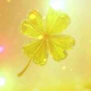 ヒメ日記 2026/03/21 08:57 投稿 一色 遊び妻 木更津店