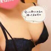 ヒメ日記 2025/06/10 13:00 投稿 せいな THE ESUTE HOUSE 柴田