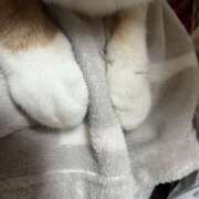 ヒメ日記 2026/02/24 20:03 投稿 るる モアグループ川越人妻花壇