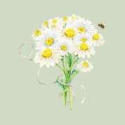 ヒメ日記 2025/06/18 15:39 投稿 かすみ デリバリーヘルス熊本インターちゃんこ