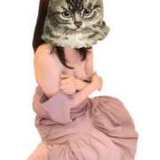 ヒメ日記 2025/07/29 06:19 投稿 かすみ デリバリーヘルス熊本インターちゃんこ