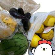 ヒメ日記 2025/08/08 06:49 投稿 かすみ デリバリーヘルス熊本インターちゃんこ