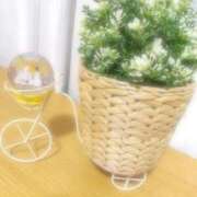 ヒメ日記 2025/10/30 18:09 投稿 かすみ デリバリーヘルス熊本インターちゃんこ