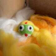 ヒメ日記 2025/11/16 19:49 投稿 かすみ デリバリーヘルス熊本インターちゃんこ