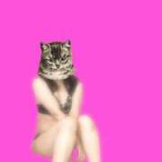 ヒメ日記 2025/12/05 05:59 投稿 かすみ デリバリーヘルス熊本インターちゃんこ