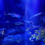 ヒメ日記 2025/06/19 14:57 投稿 にこ Vitamin〜ビタミン〜