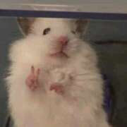 ヒメ日記 2025/07/31 15:34 投稿 にこ Vitamin〜ビタミン〜