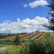 ヒメ日記 2025/08/22 13:25 投稿 にこ Vitamin〜ビタミン〜