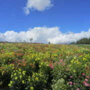 ヒメ日記 2025/09/06 17:07 投稿 にこ Vitamin〜ビタミン〜