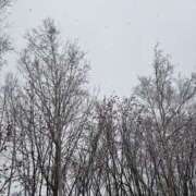 ヒメ日記 2025/10/23 15:25 投稿 にこ Vitamin〜ビタミン〜