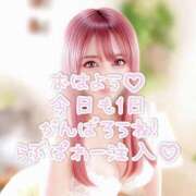 ヒメ日記 2025/06/30 07:59 投稿 りりか 横浜痴女性感フェチ倶楽部