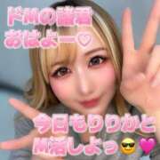 ヒメ日記 2025/08/26 10:49 投稿 りりか 横浜痴女性感フェチ倶楽部