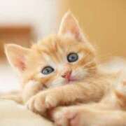 ヒメ日記 2025/06/18 23:17 投稿 松村　さら ナディア名古屋店