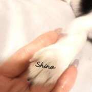 ヒメ日記 2025/06/15 22:26 投稿 野々村志乃(しの) 東京不倫～とうきょうふりん～