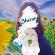 ヒメ日記 2025/07/30 12:34 投稿 野々村志乃(しの) 東京不倫～とうきょうふりん～