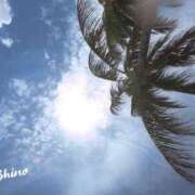 ヒメ日記 2025/08/06 07:18 投稿 野々村志乃(しの) 東京不倫～とうきょうふりん～