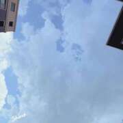 ヒメ日記 2025/08/22 12:48 投稿 野々村志乃(しの) 東京不倫～とうきょうふりん～