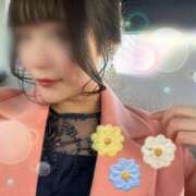 ヒメ日記 2025/06/15 09:14 投稿 『とも』 ESSENCE