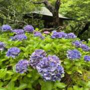 ヒメ日記 2026/07/20 09:33 投稿 『とも』 ESSENCE