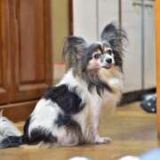 ヒメ日記 2025/06/25 20:26 投稿 生田 久留米デリヘルセンター