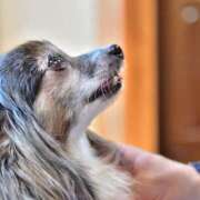 ヒメ日記 2025/06/26 00:46 投稿 生田 久留米デリヘルセンター