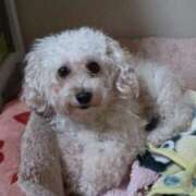 ヒメ日記 2025/07/10 23:36 投稿 生田 久留米デリヘルセンター