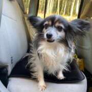 ヒメ日記 2025/07/14 17:36 投稿 生田 久留米デリヘルセンター