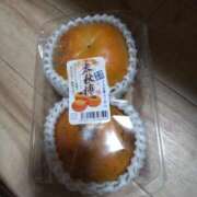 ヒメ日記 2025/11/02 21:36 投稿 生田 久留米デリヘルセンター