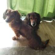 ヒメ日記 2025/11/18 22:36 投稿 生田 久留米デリヘルセンター