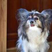 ヒメ日記 2025/11/26 18:26 投稿 生田 久留米デリヘルセンター